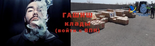 трава Пересвет