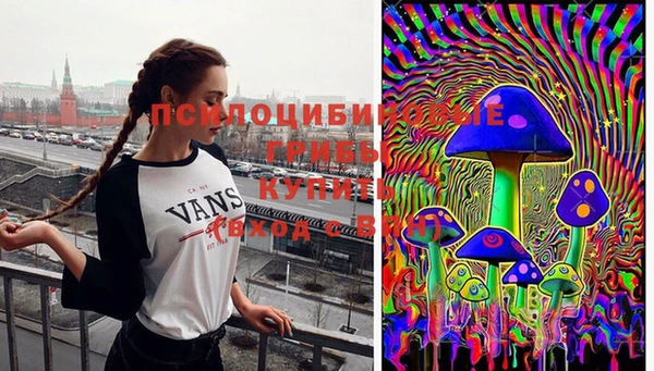 трава Пересвет
