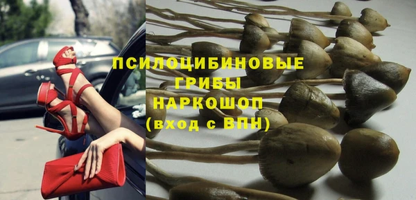 трава Пересвет