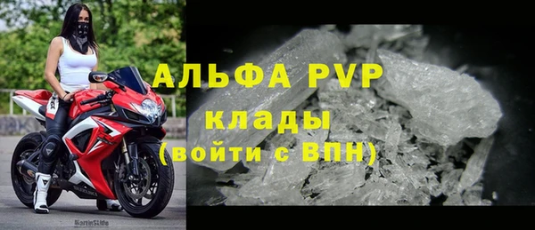 трава Пересвет